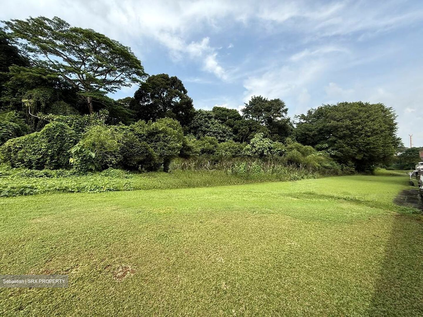 Springleaf Garden (D26), Semi-Detached #482002951